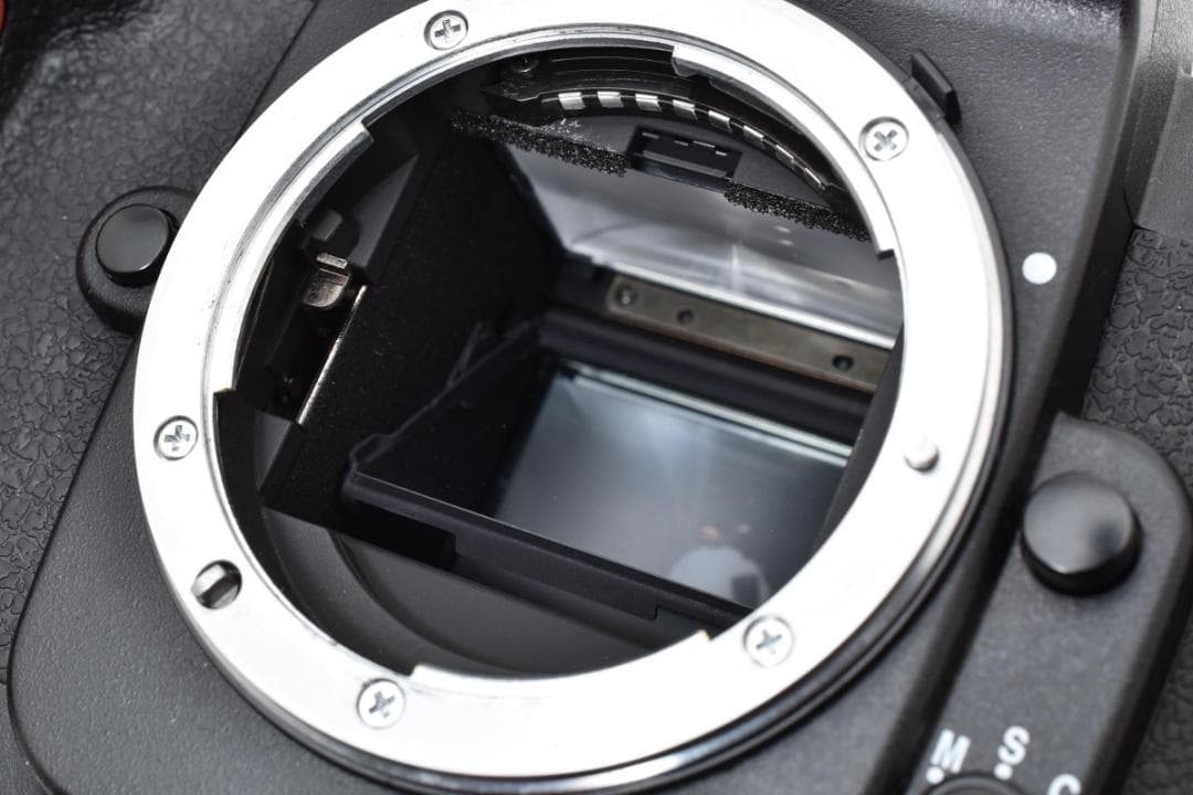 ニコン NIKON F100 ボディ フィルム一眼　《動作確認済・初期不良補償》