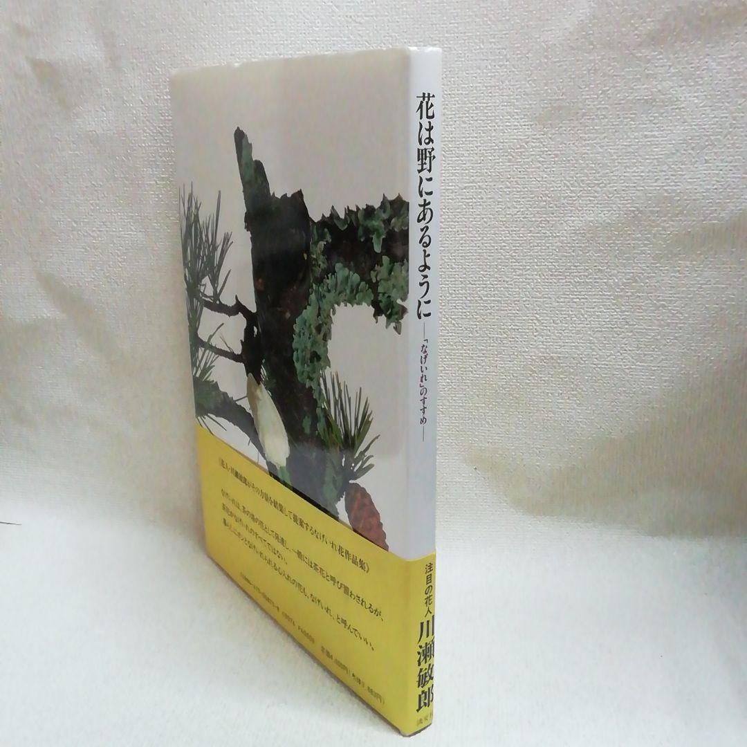 花は野にあるように なげいれのすすめ 川瀬敏郎 - メルカリ