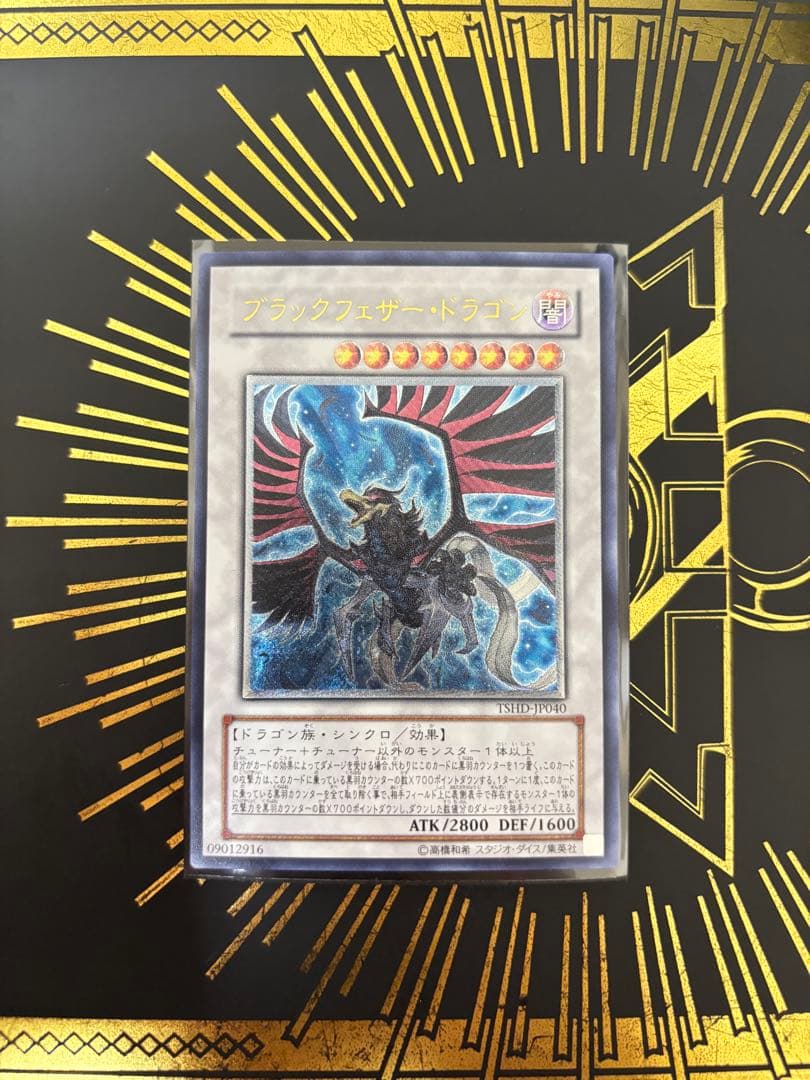 遊戯王 ブラックフェザー・ドラゴン レリーフ 美品〜良品 - メルカリ