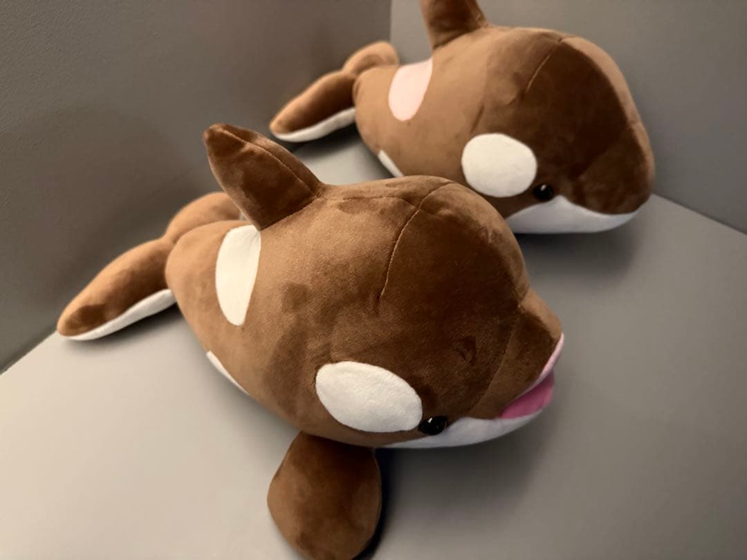 オルカくじ 新色 ショコラ・デュオ 3等 2匹セット 須磨シーワールド