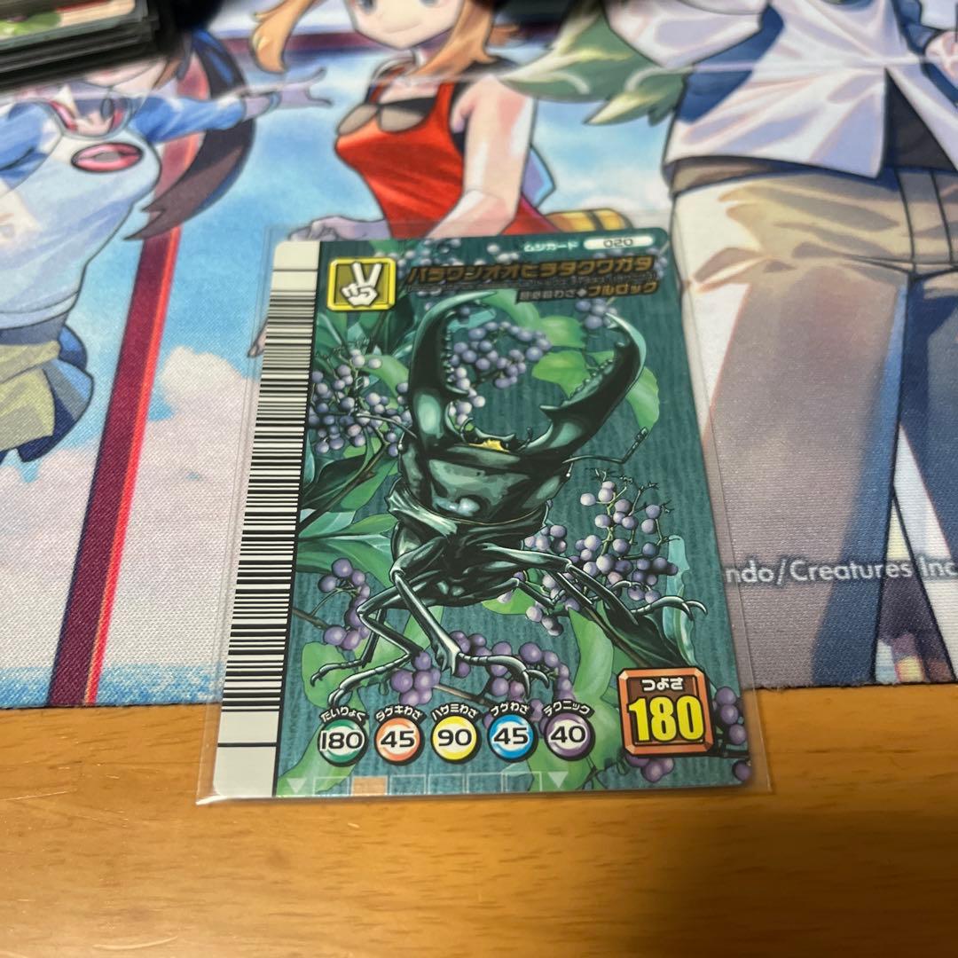 A*U様 パラワンオオヒラタクワガタ 5周年 劣化 - メルカリ