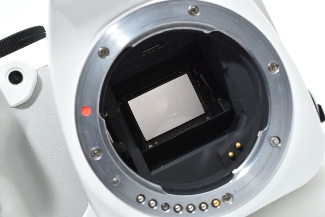 ☆ショット数: 16872回☆ ペンタックス PENTAX K-S2 #1077 - メルカリ