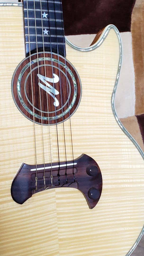 Guyatone EG2100M Mine Nobuhiro model - メルカリ