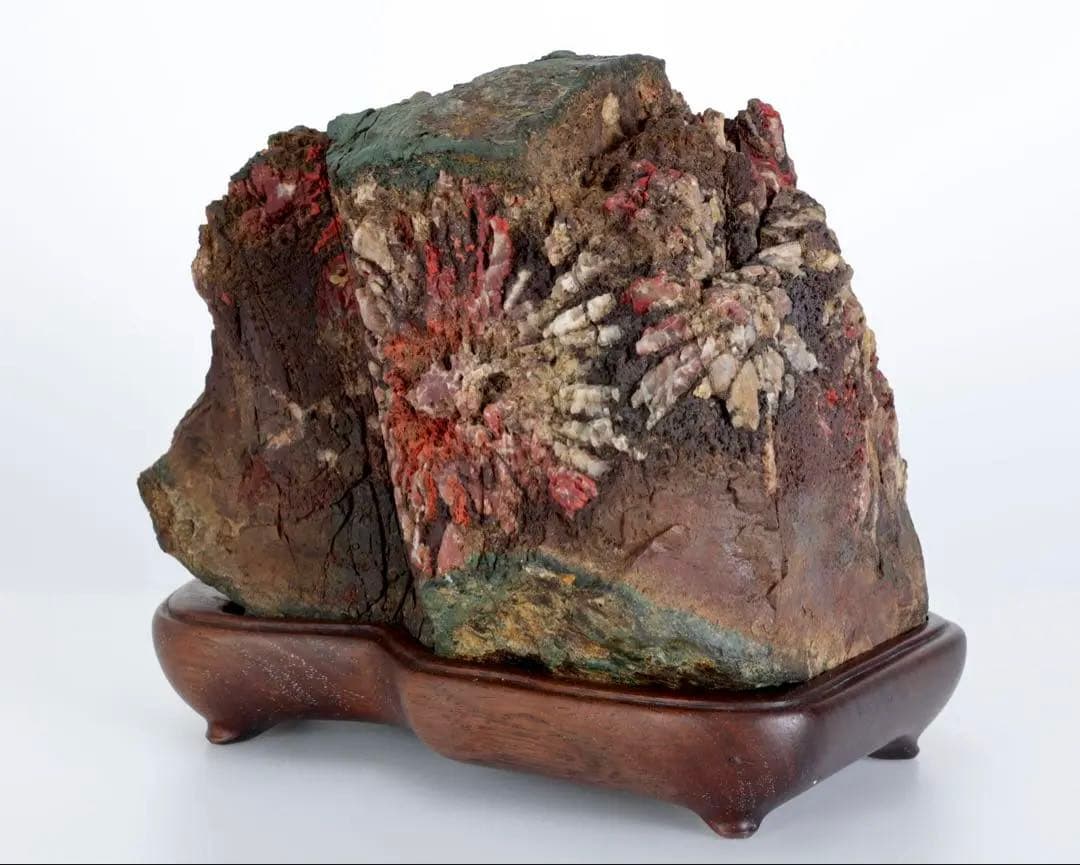 天覧 天然菊花石 大輪 6.5kg 台座付 鑑賞石 盆石 水石 自然石 美石