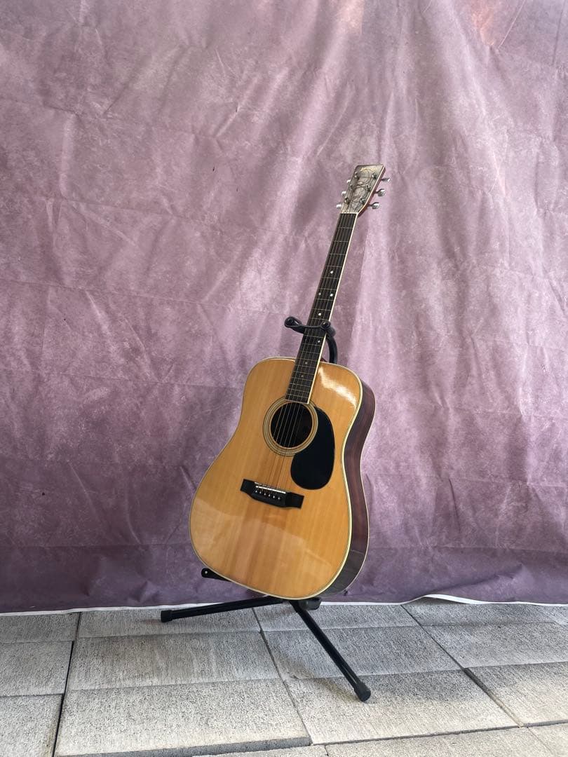 【極美品】【付属品多数】Morris FW-25 アコースティックギター W-25 | 生産完了品 | MORRIS GUITARS モーリスギター