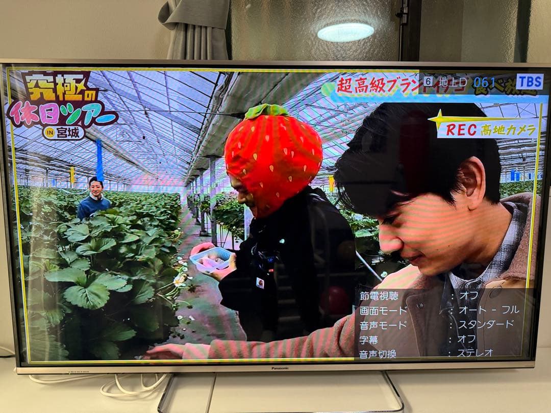 t*m様 Panasonic TH-55AS650 55インチ液晶テレビ 201 - メルカリ