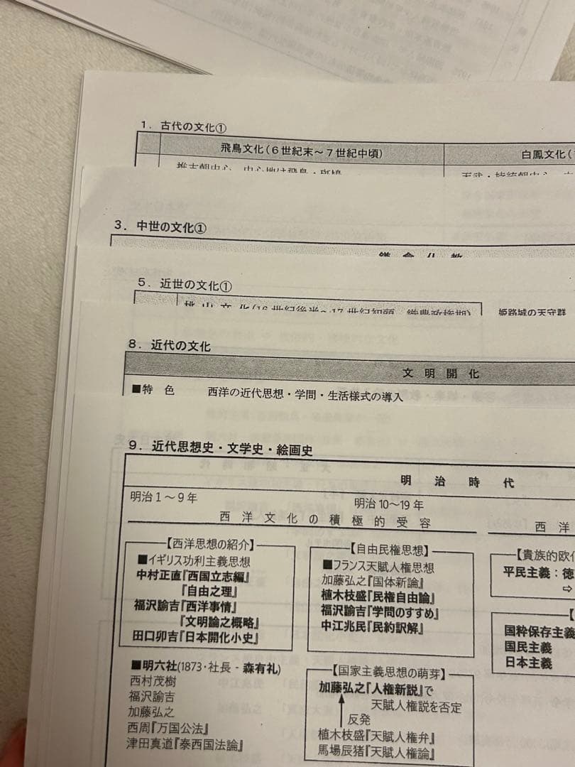 坂本勝義 河合塾 日本史 通史・文化史・テーマ史全プリント - メルカリ