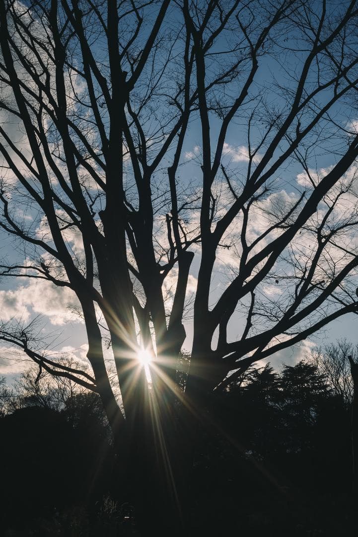 虹色シャワー！東京光学 Topcor 50mm F3.5 オールドレンズ - メルカリ