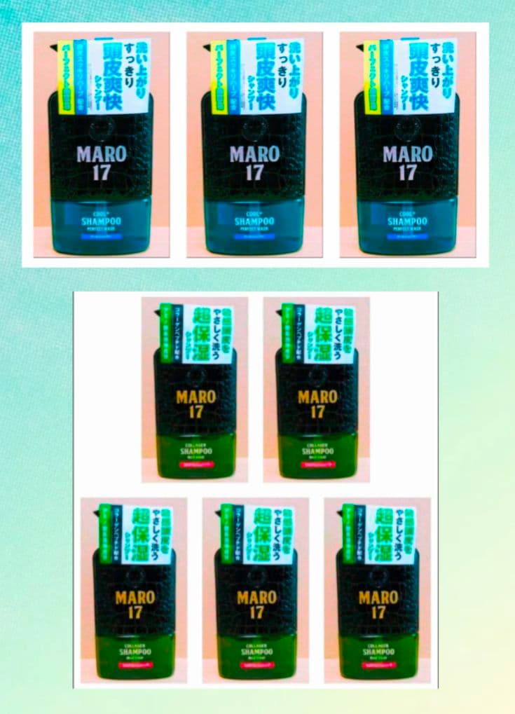 シナリー ヘンナ5箱&ホソバタイセイ3箱