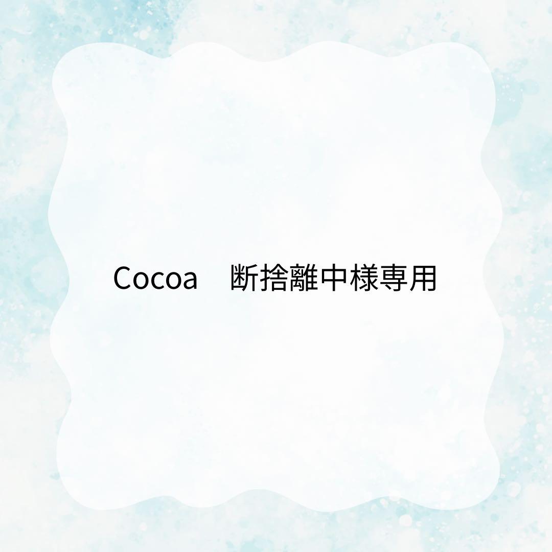 Cocoa　断捨離中 断捨離、捨てても捨ててもてもガラクタだらけ。 | フタリノキロク＋2
