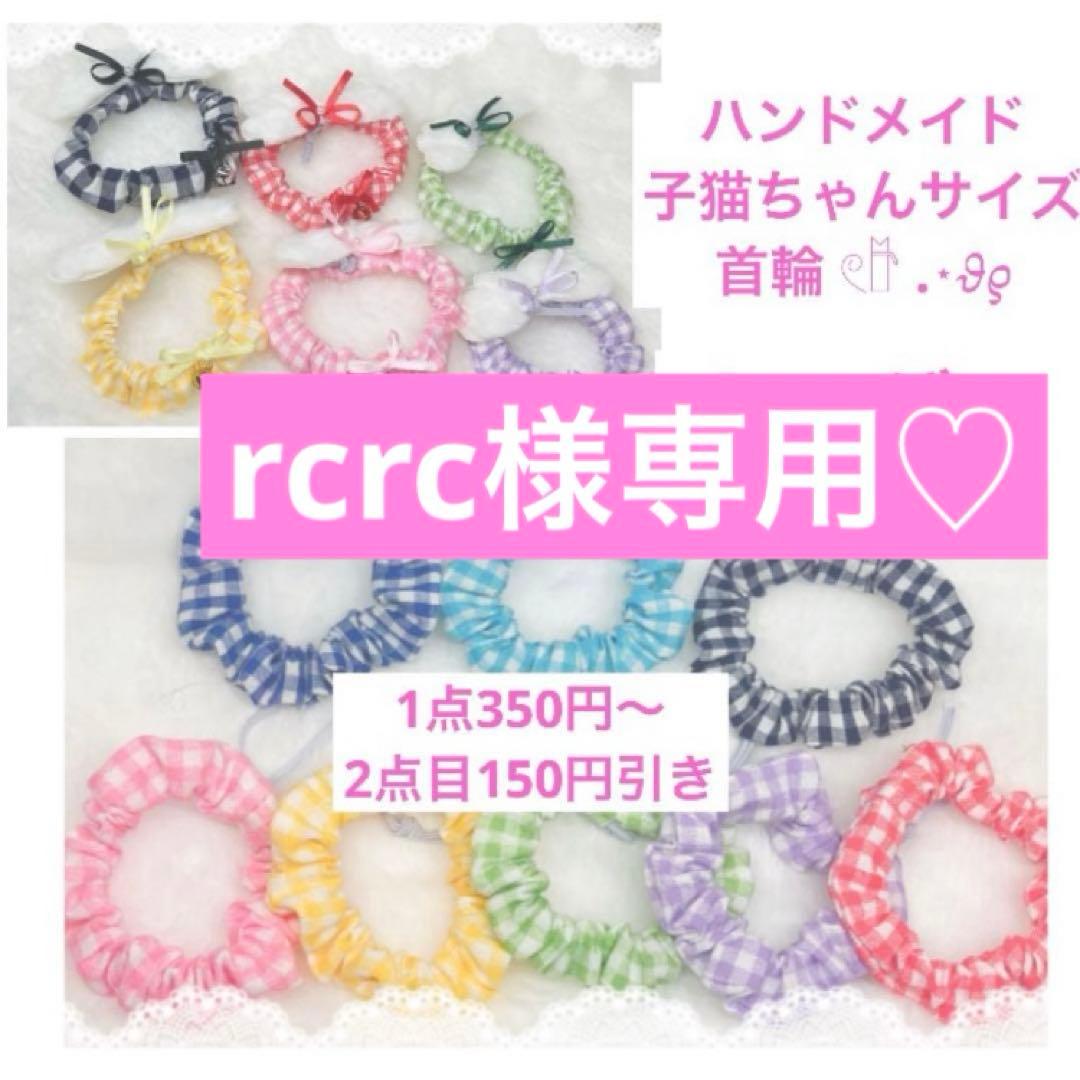 BAD LOSER ハリー・スキュアリー 南安秀 X-Ray 藤井良明