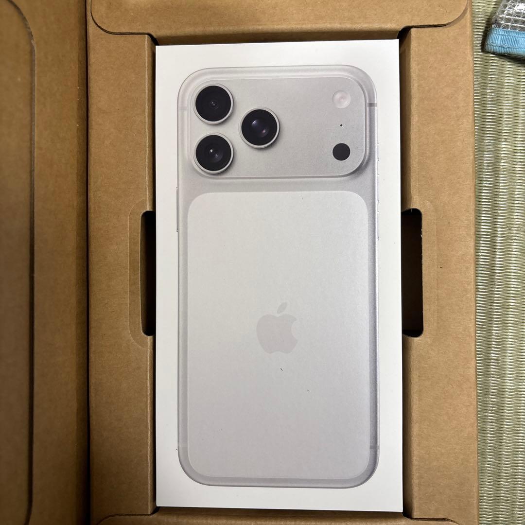 Apple iPhone 17 Pro Max シルバー 256GB Buy iPhone 17 Pro Max 256GB Silver - Apple