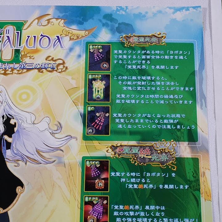 純正インスト+取扱説明書+帯1本 エスプガルーダ2 CAVE