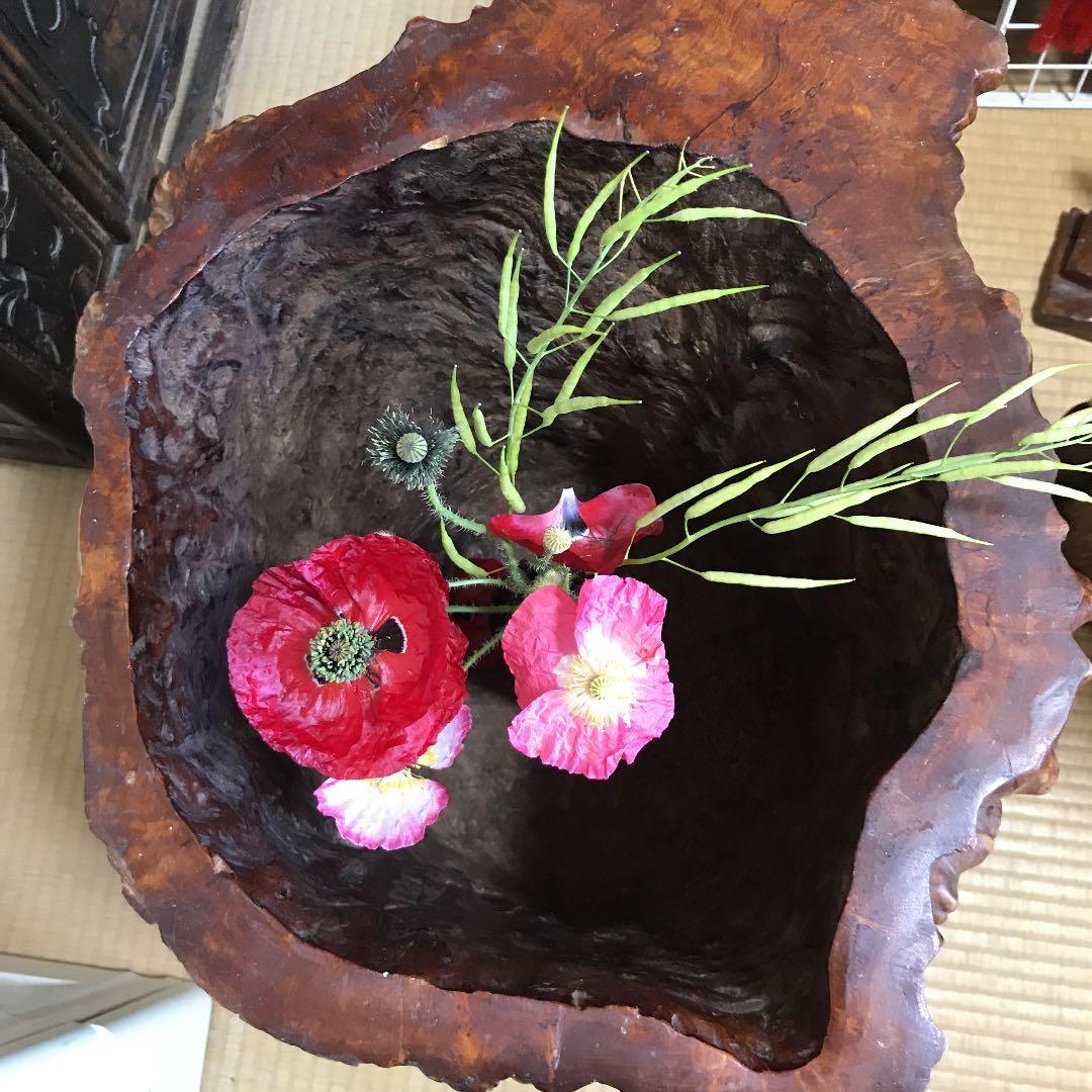 木の根 インテリア  掛軸いれなど 掛け軸-紅梅鳩図／宮本 武蔵(尺五) モダン オシャレ インテリア 床の間