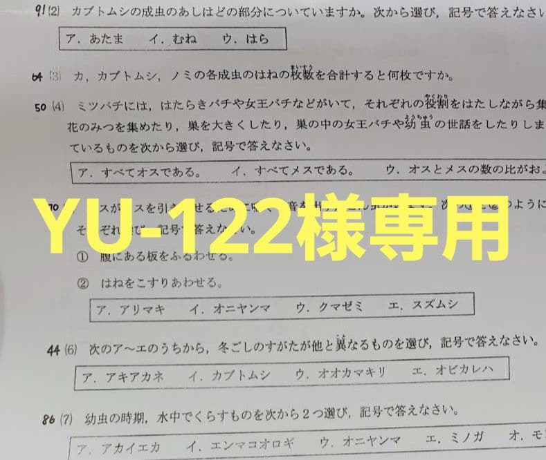 語学・辞書・学習参考書 YU-122 例解学習国語辞典 第十二版 オールカラー ワイド版 | 書籍 | 小学館