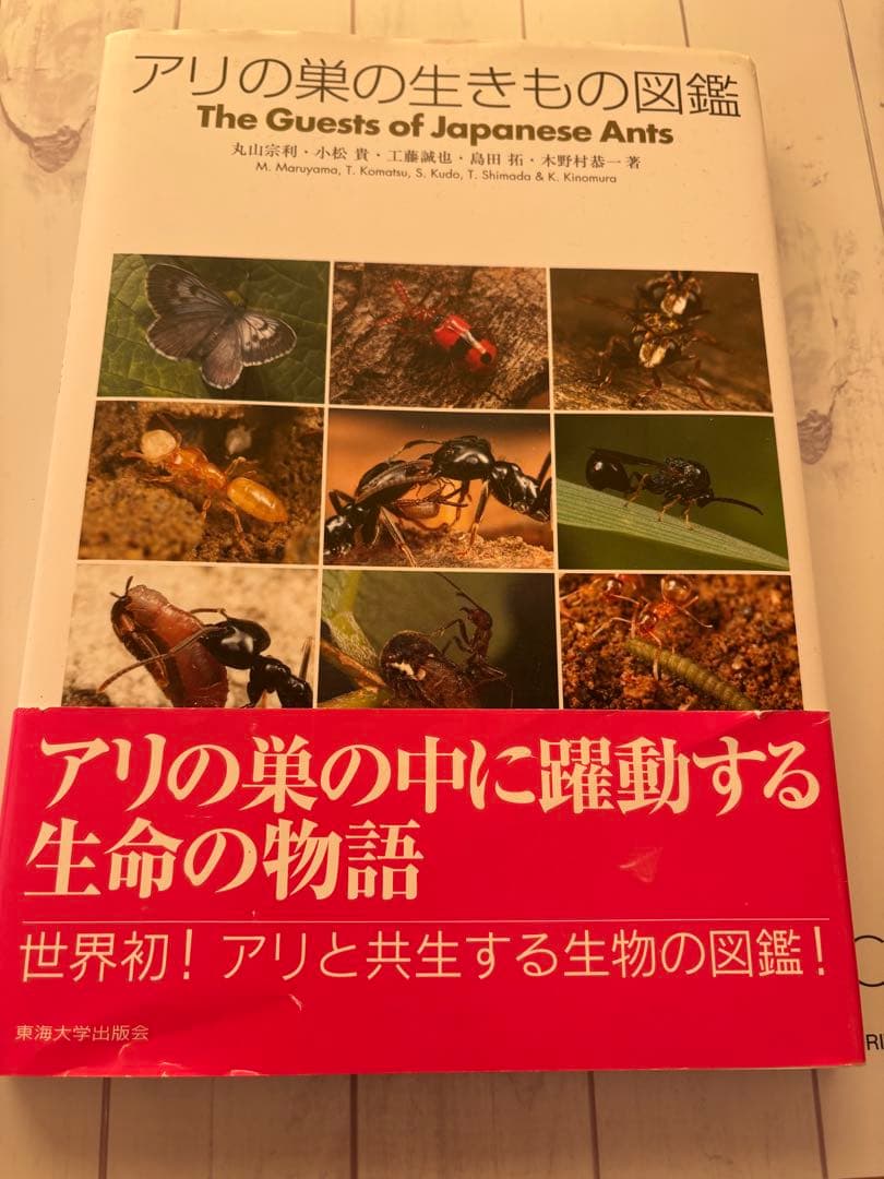 アリの巣の生きものの図鑑 - メルカリ