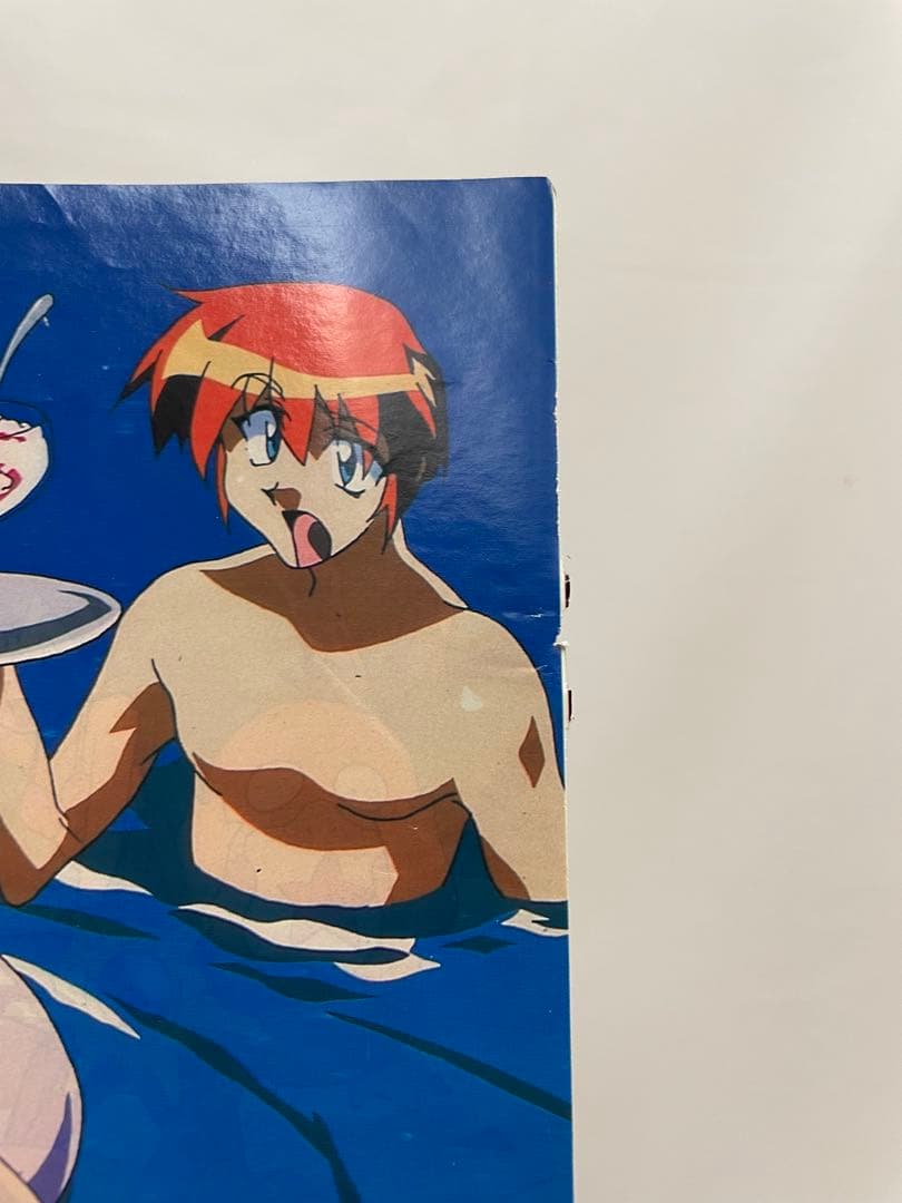 アニメディア 水着 サトシ カスミ タケシ 記事 切抜き 描き下ろし