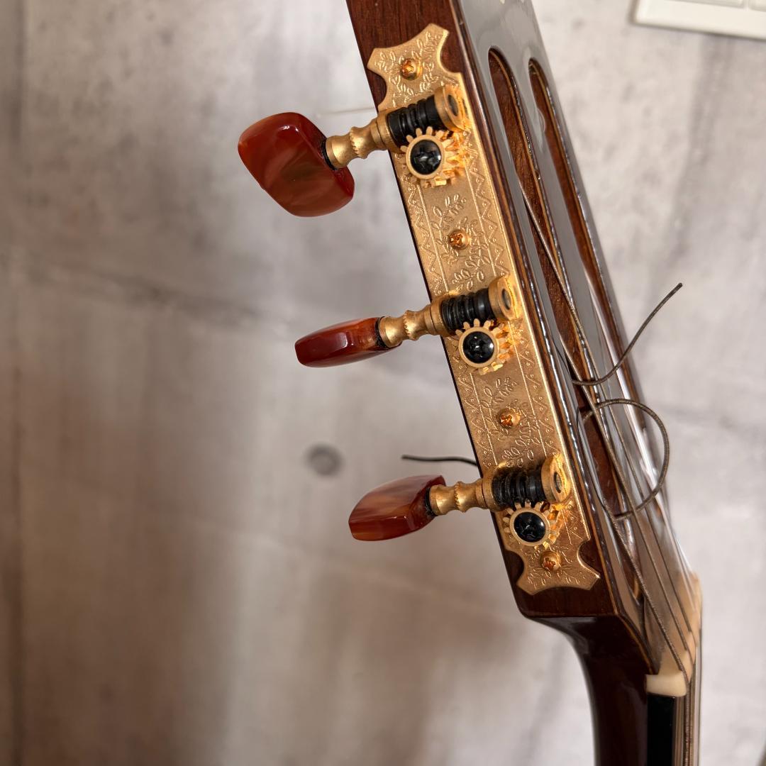 タカミネ ガッドエレアコギター PT-115N ST - メルカリ