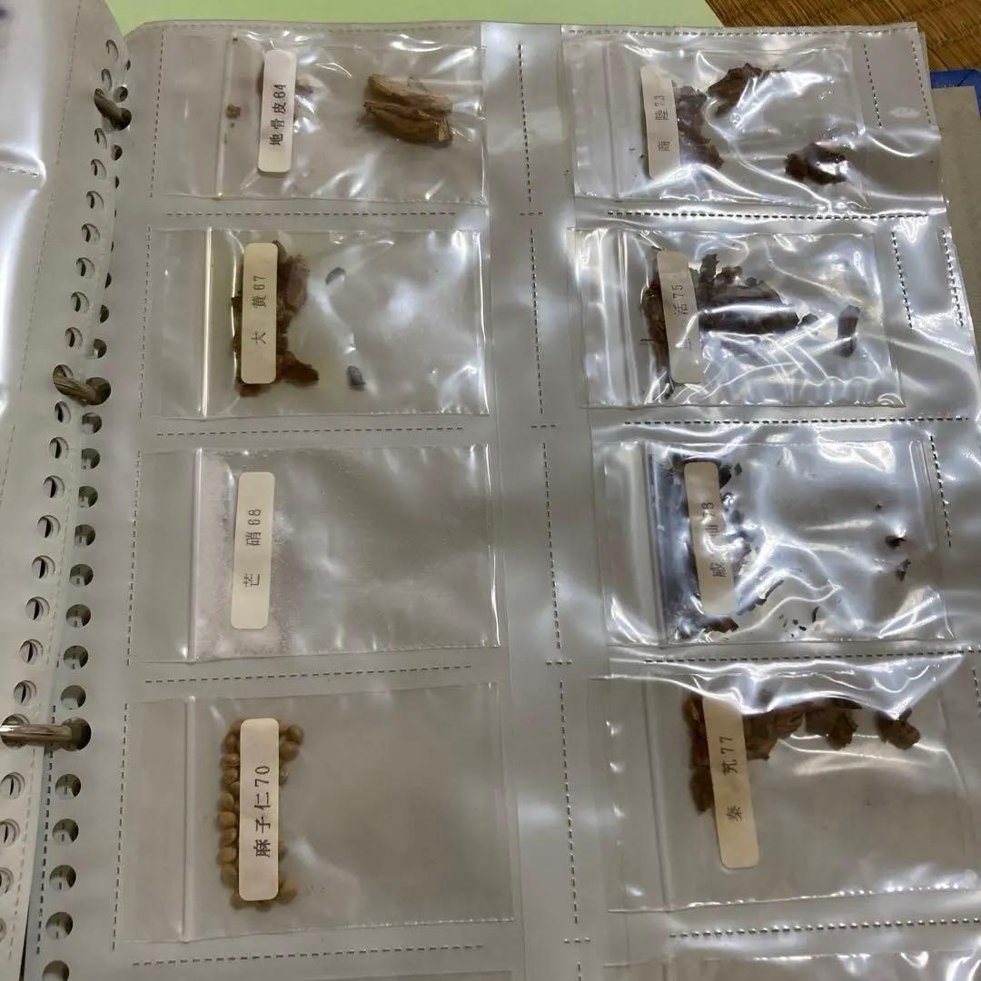 劇レア　中医学　漢方　上海中医薬大学通信教育テキスト　ビデオ　生薬サンプル　貴重