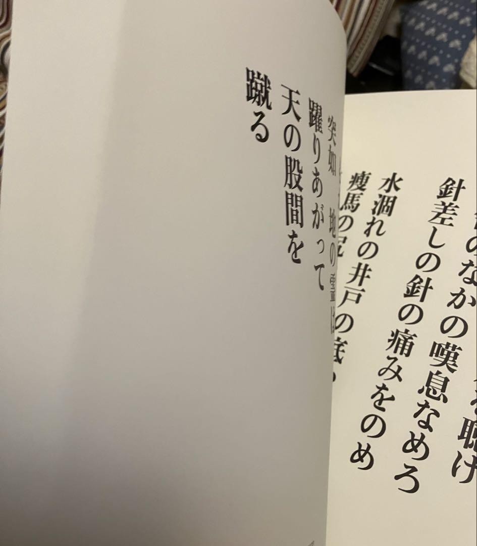 すし様専用☆舞踏土方巽【鎌鼬】写真:細江英公/装丁田中一光/箱