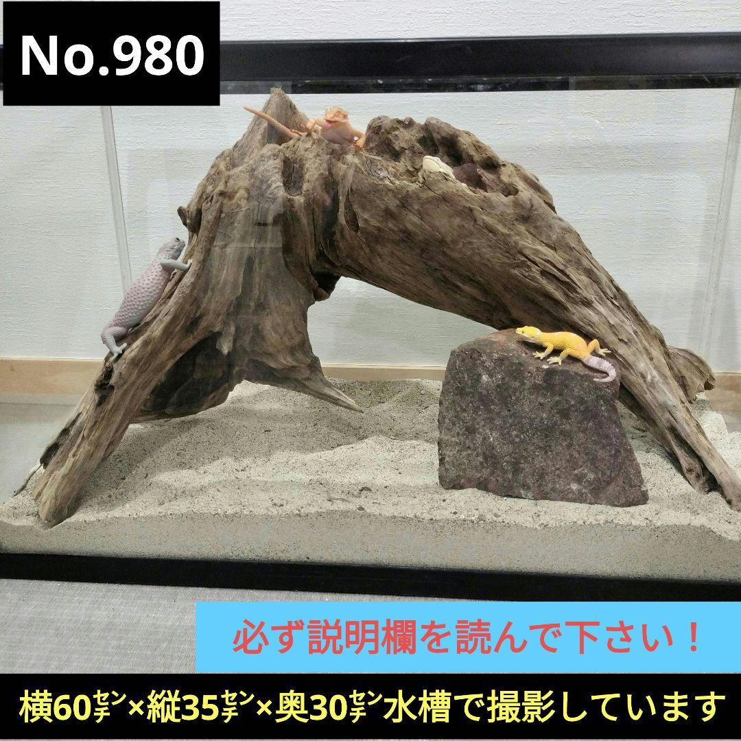 No.980】大型流木 爬虫類レイアウト✫インテリア✫ - メルカリ