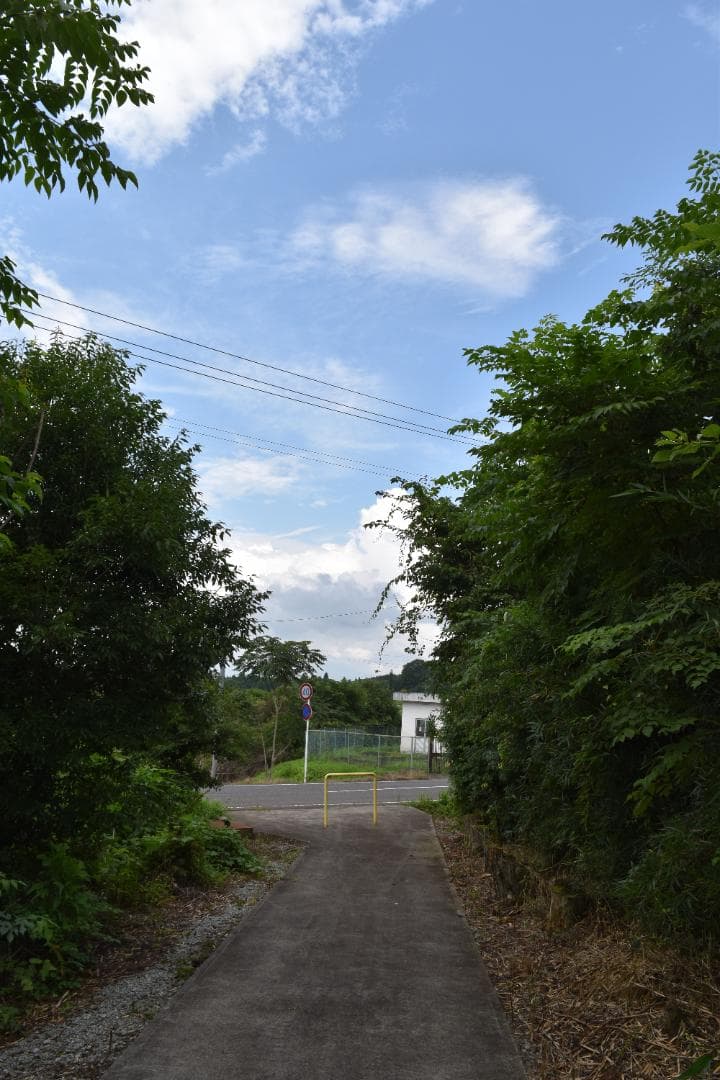 Nikon D5500 ダブルズームキット シャッター回数:1457 - メルカリ