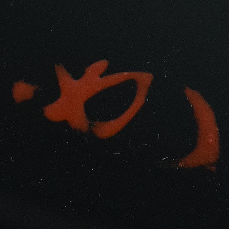 専用 浜木松峰 朱塗銀タガ 手桶水指 堀内宗完(兼中斎)極め箱 VR8538H