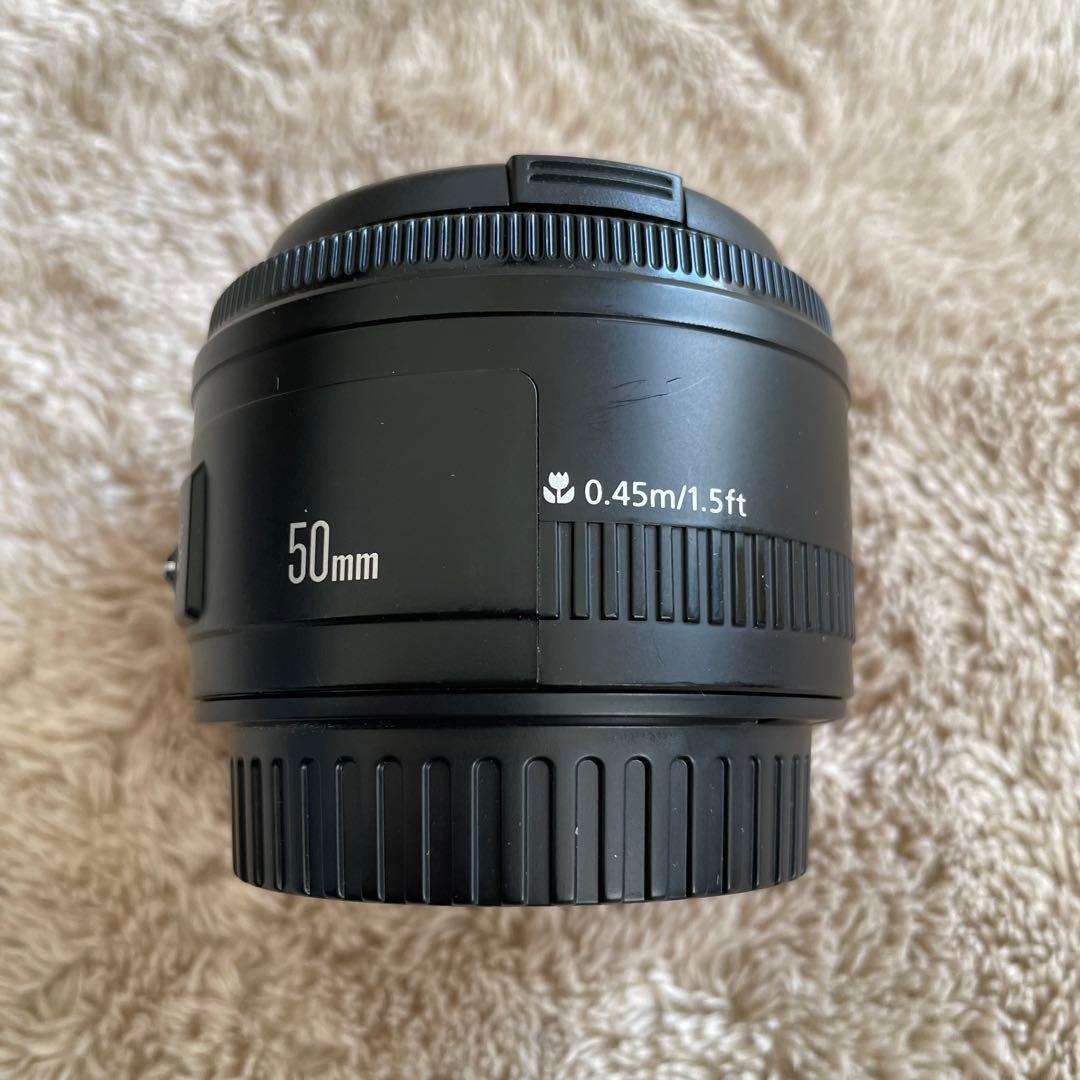 Canon EFマウント　F1.8 50mm 単焦点レンズ Canon EF50mm F1.8 STM実写レビュー！はじめての単焦点におすすめの