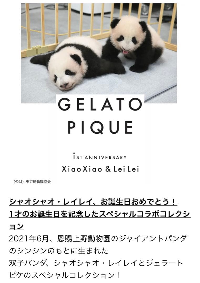 大判☆新品☆ジェラートピケ☆パンダ☆ブランケット☆シャオシャオ