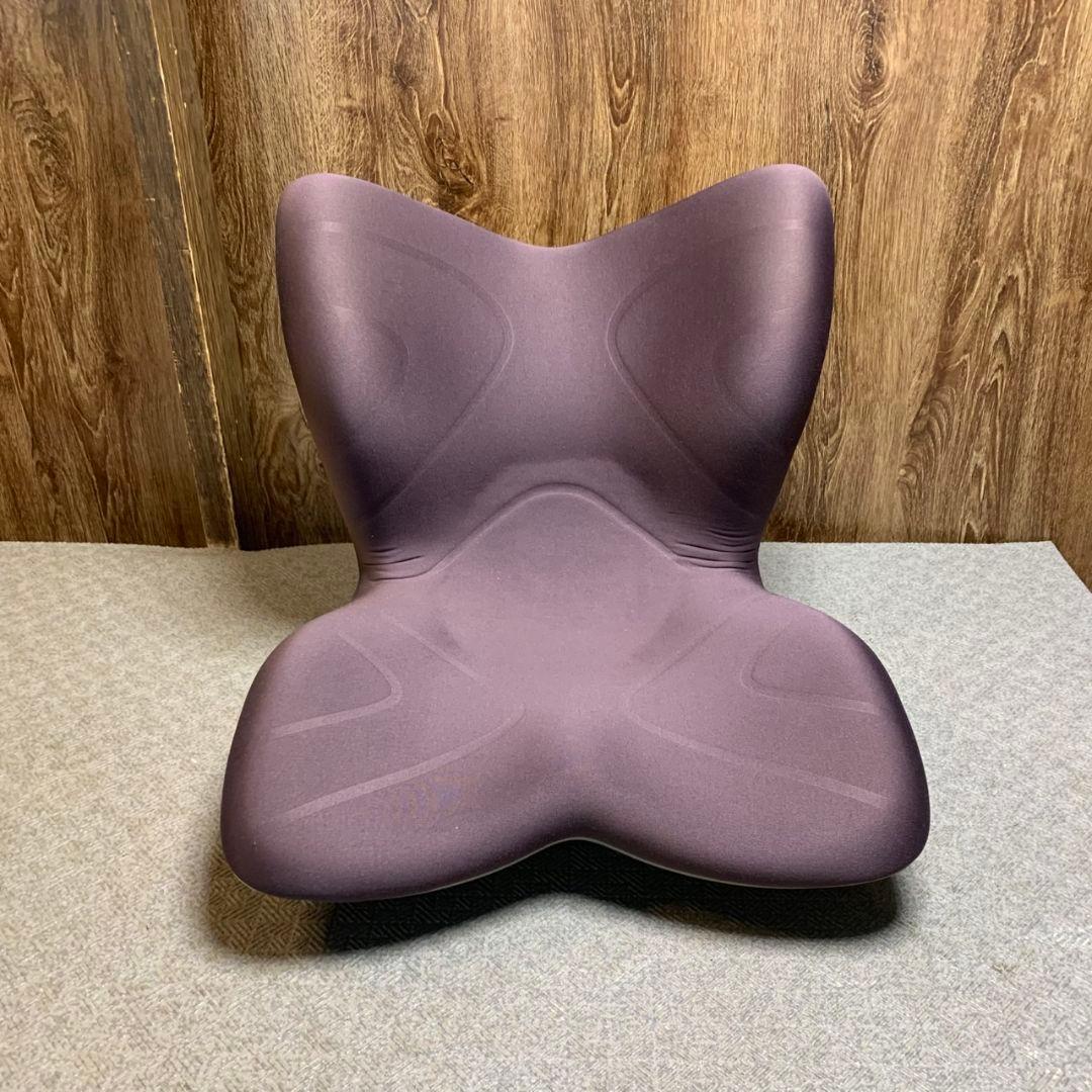 anny H875\" スタイルプレミアムMTG 姿勢矯正 骨盤サポート椅子 Style（スタイル） 爆買 姿勢ケアシート Style PREMIUM プレミアム MTG