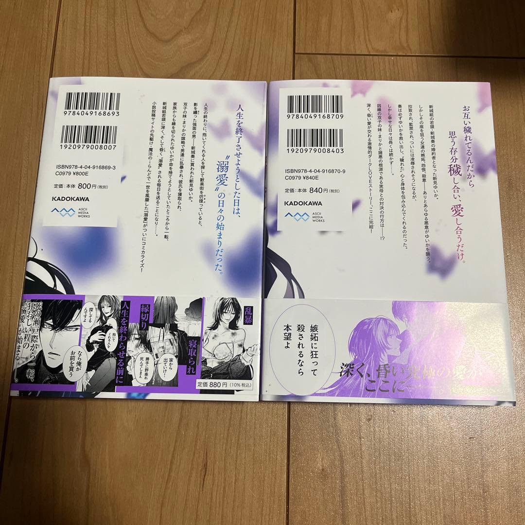 魔法のiらんどCOMICS 溺愛 上下