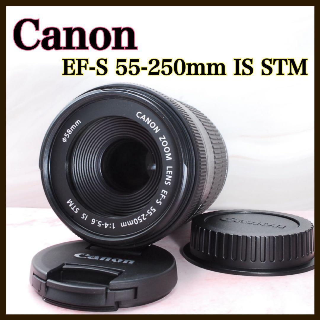 美品❤️Canon EF-S 55-250mm IS STM 高性能望遠レンズ EF-S Canon EF-S55-250mm F4-5.6 IS STM キャノン APS-C対応 EF-S55