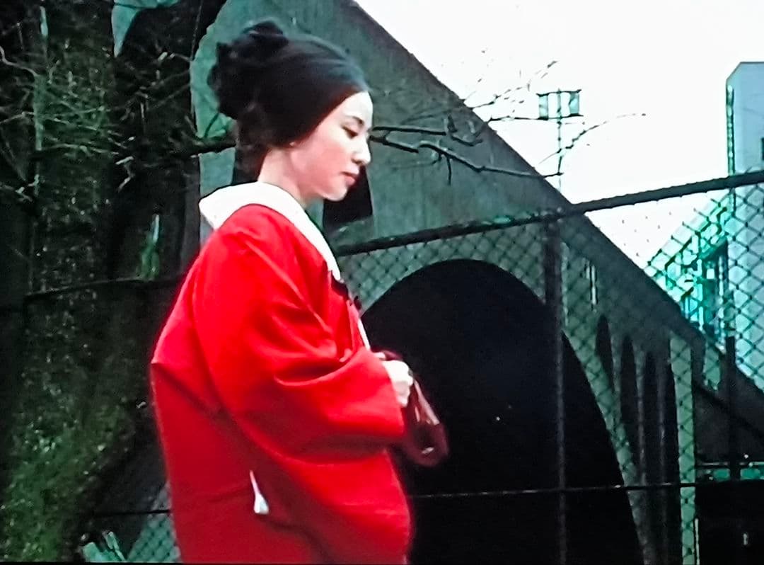 昭和の名作ライブラリー あの橋の畔(たもと)で コレクターズ DVD 5枚組