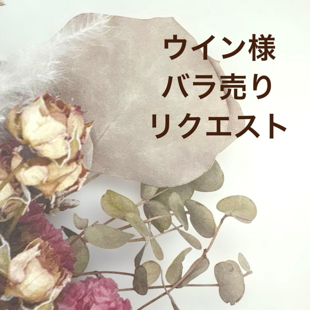 美品✨】東レシルック さんび 洗える着物 熊谷好博子 色無地 灰みの黄