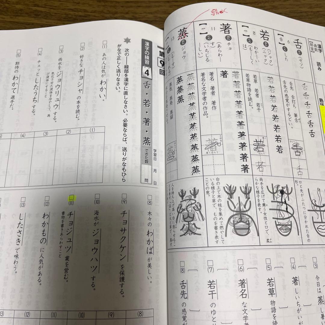 中学受験新演習 漢字日記 国語小6上下 解答付 - メルカリ