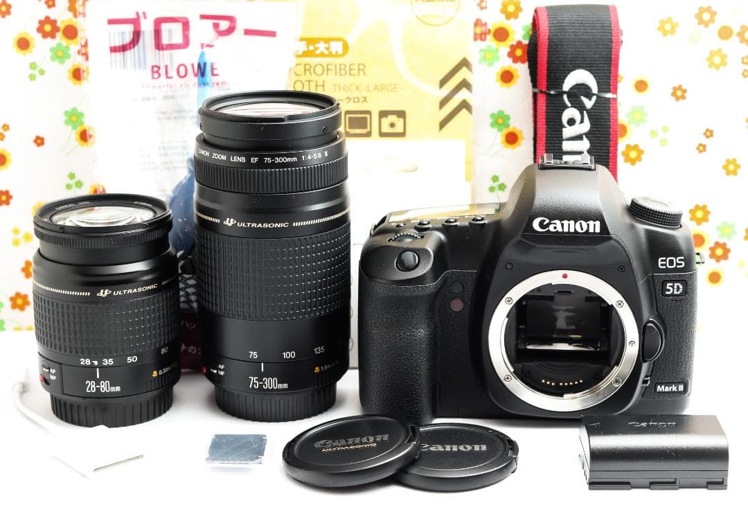 Canon 5D MarkII☆ダブルレンズ！☆高性能フルサイズ☆スマホに転送