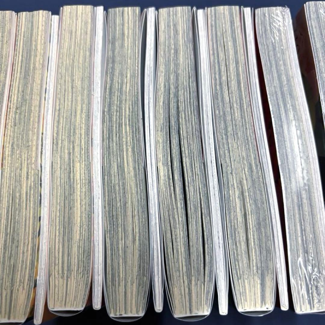 傷モノの花嫁 1-10巻セット《特装版・未開封あり》小説2巻セット