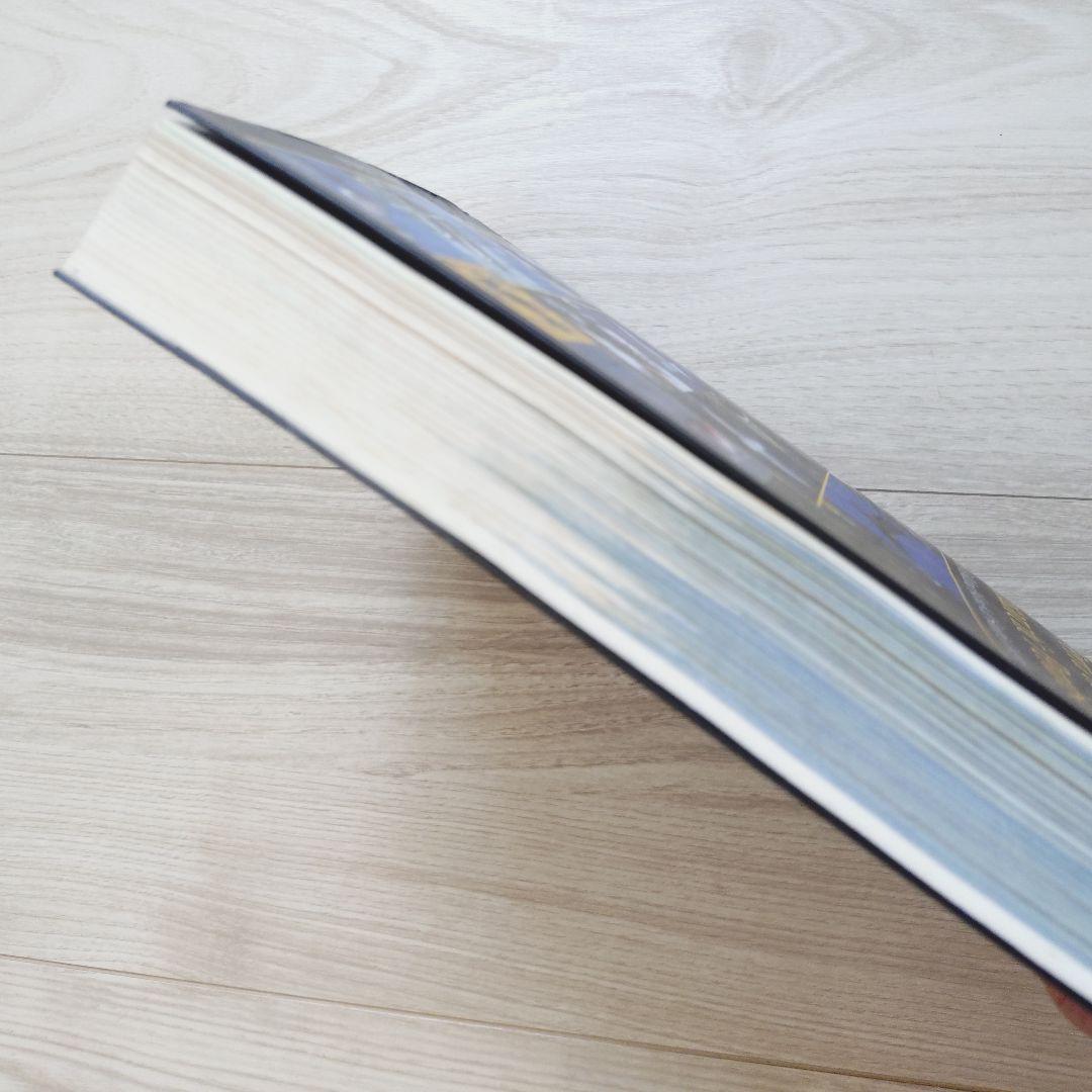 パタゴニア ティエラ・デル・フエゴ 南極半島の鳥 鳥類の写真ガイド