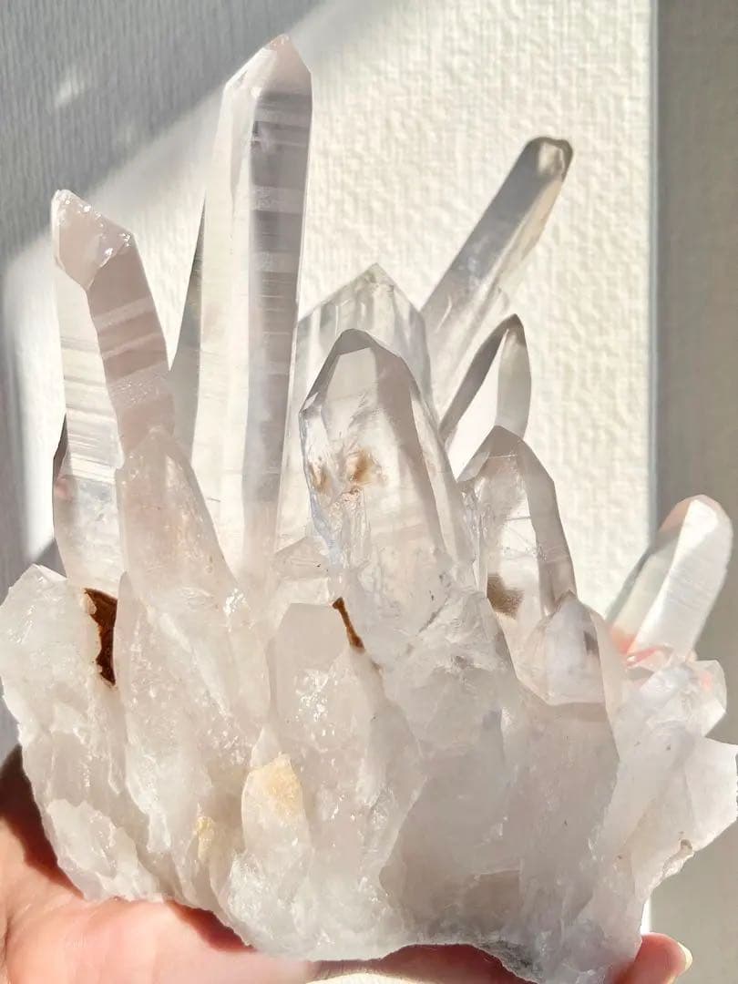 祝正月価格✨美✨希少✨１.１k 初期セラデ産AAAAAAレムリアン ✨光の神殿✨