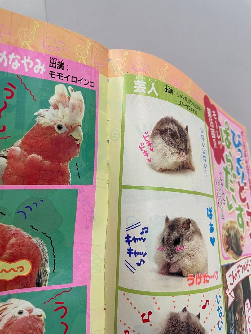 漫画 Pi Pi Piアドベンチャー ちゃお 切抜き 1999年 コダック - メルカリ