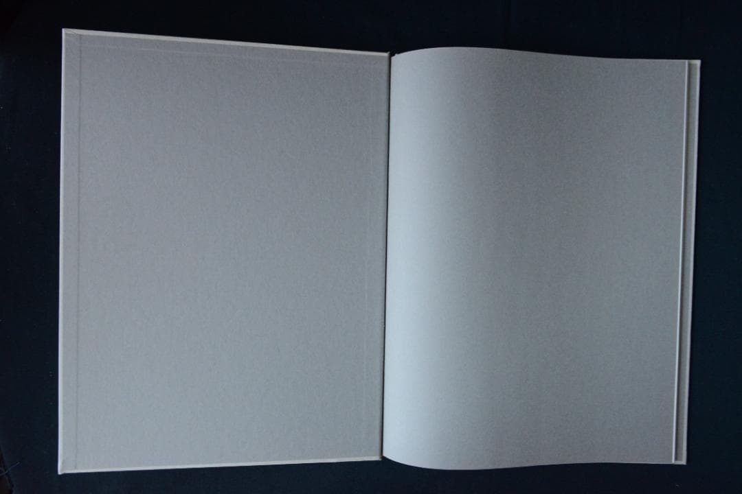 王たちの肖像－浅草寺堺内】鬼海弘雄 帯付 大幅に値下げしました