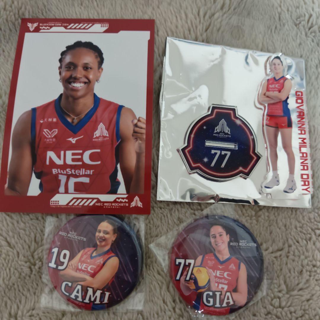 NECレッドロケッツ川崎 写真 缶バッジ アクスタ - メルカリ