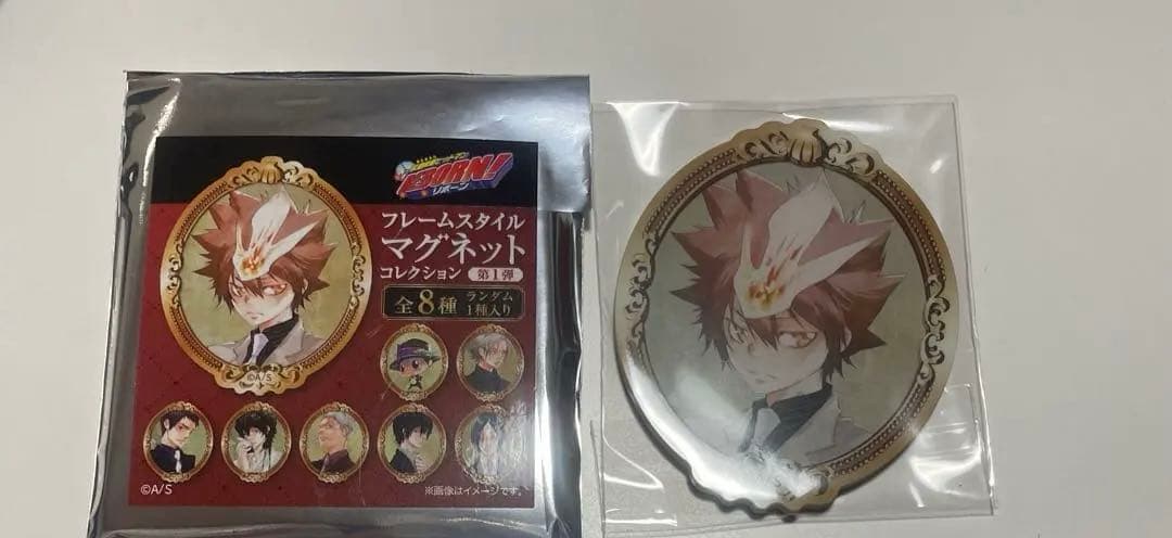 家庭教師ヒットマンREBORN!フレームスタイルマグネットコレクション