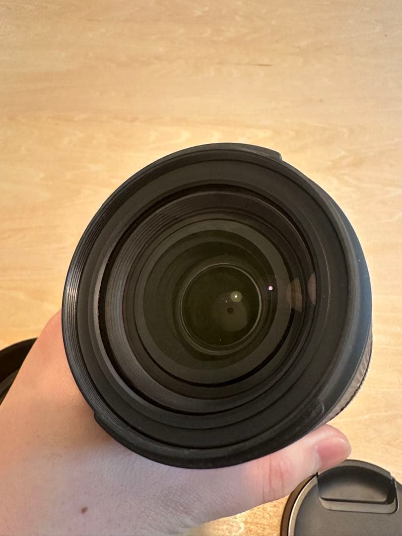 タムロン 28-200mm F2.8-5.6 Di III ソニーEマウント用