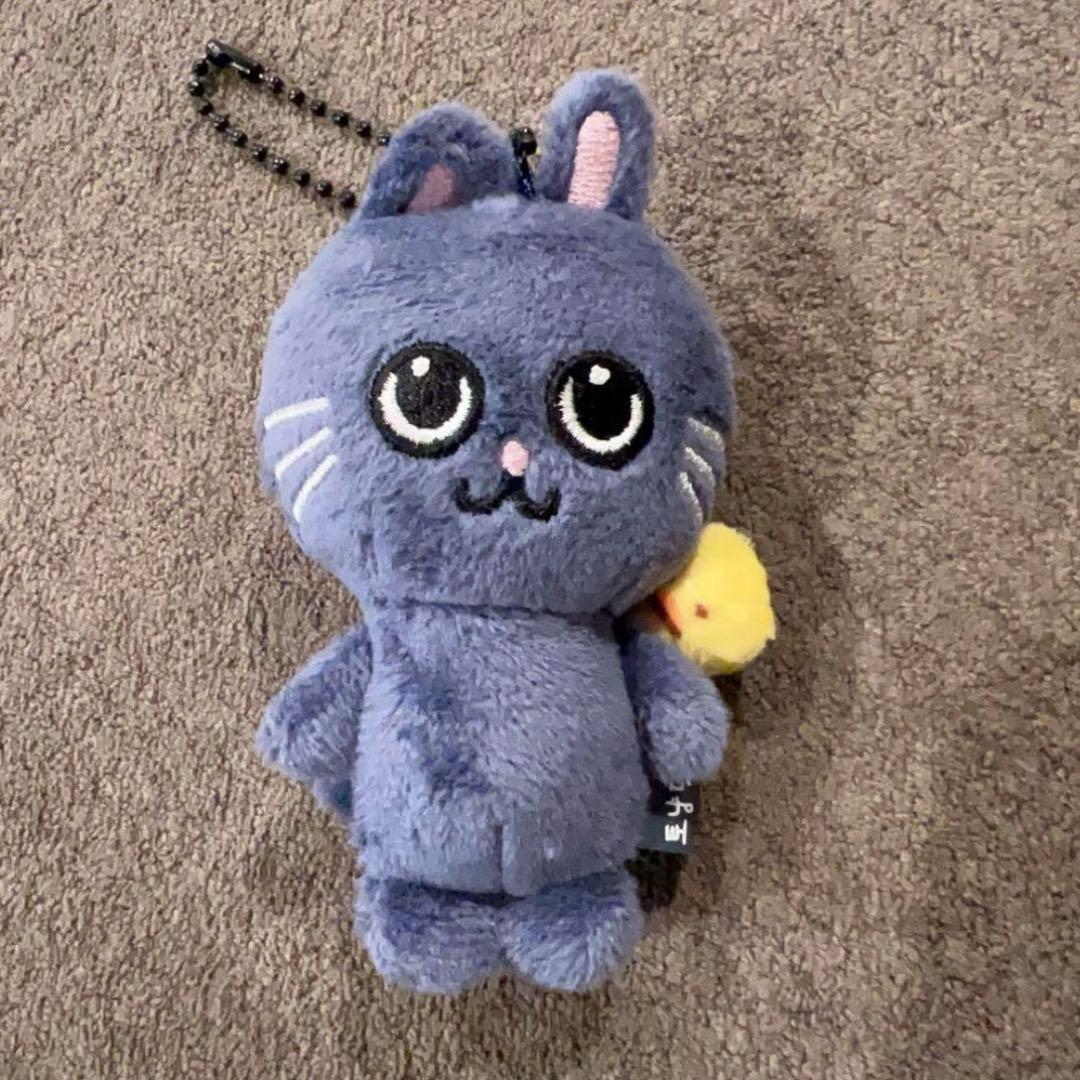 RIIZE ウォンビン ぬいぐるみ トニャンドク - メルカリ