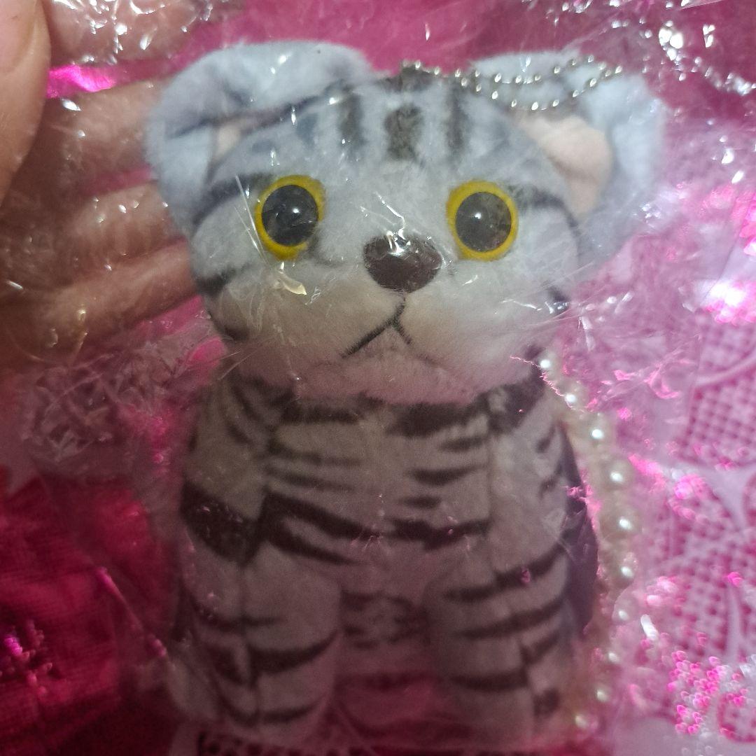 ちゃんみな　レア　 B級 MINI BALENTINE BAG CHARM ちゃんみなB級 MINI BALENTINE BAG CHARM ぬいぐるみ 猫｜Yahoo!フリマ