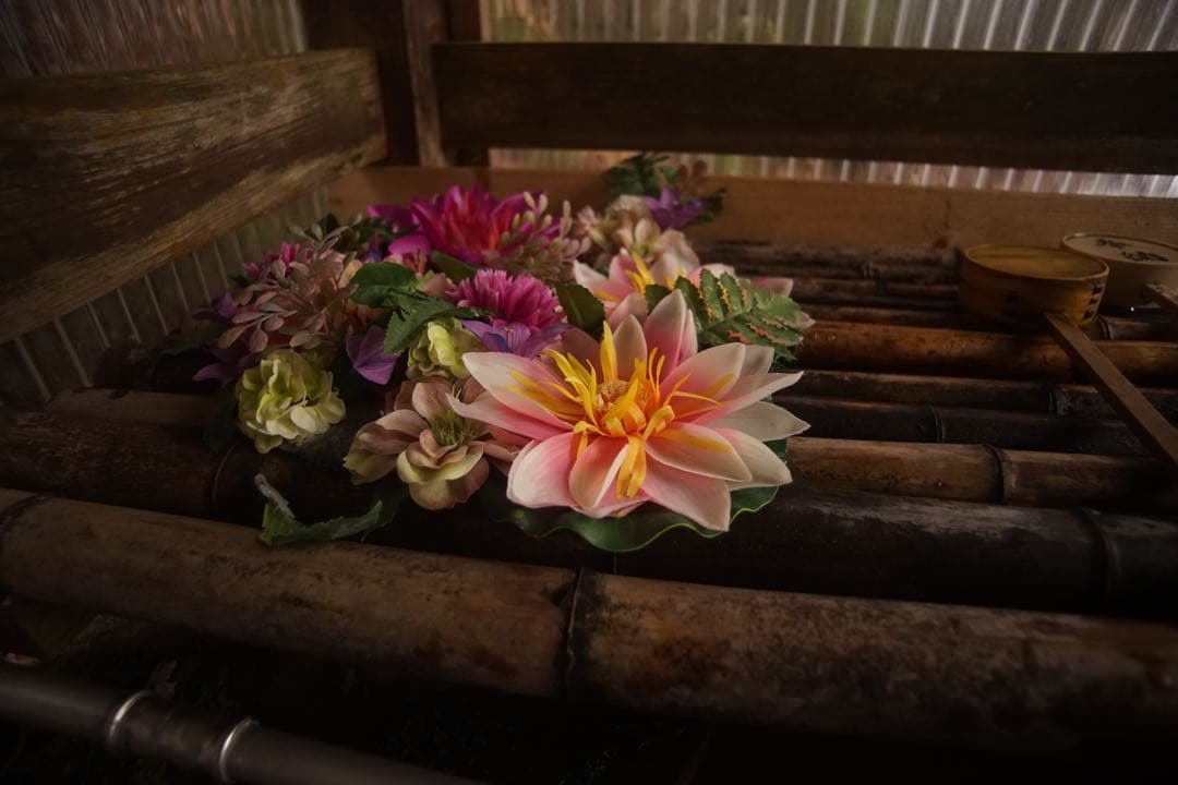 作例付き　TOKINA 20-35mm F3.5-4.5 AF 管mpr