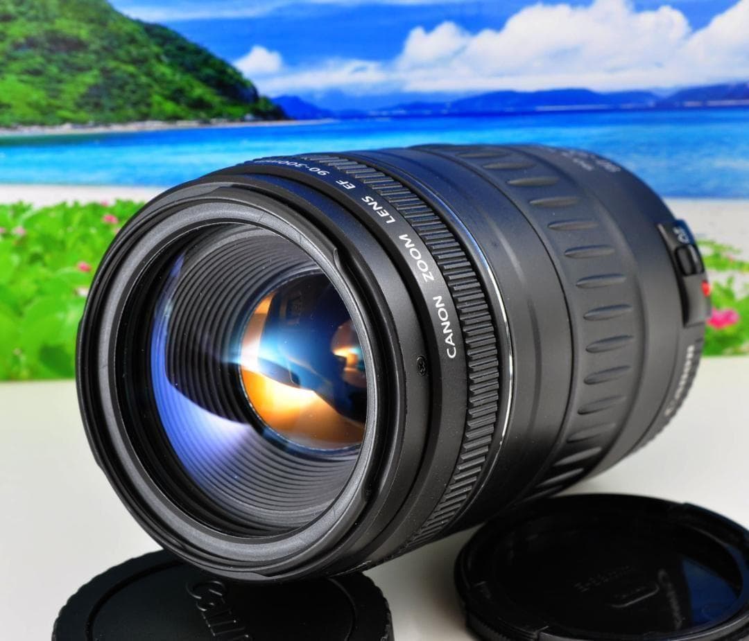 キャノン Canon EF 90-300mm F4.5-5.6 望遠レンズ