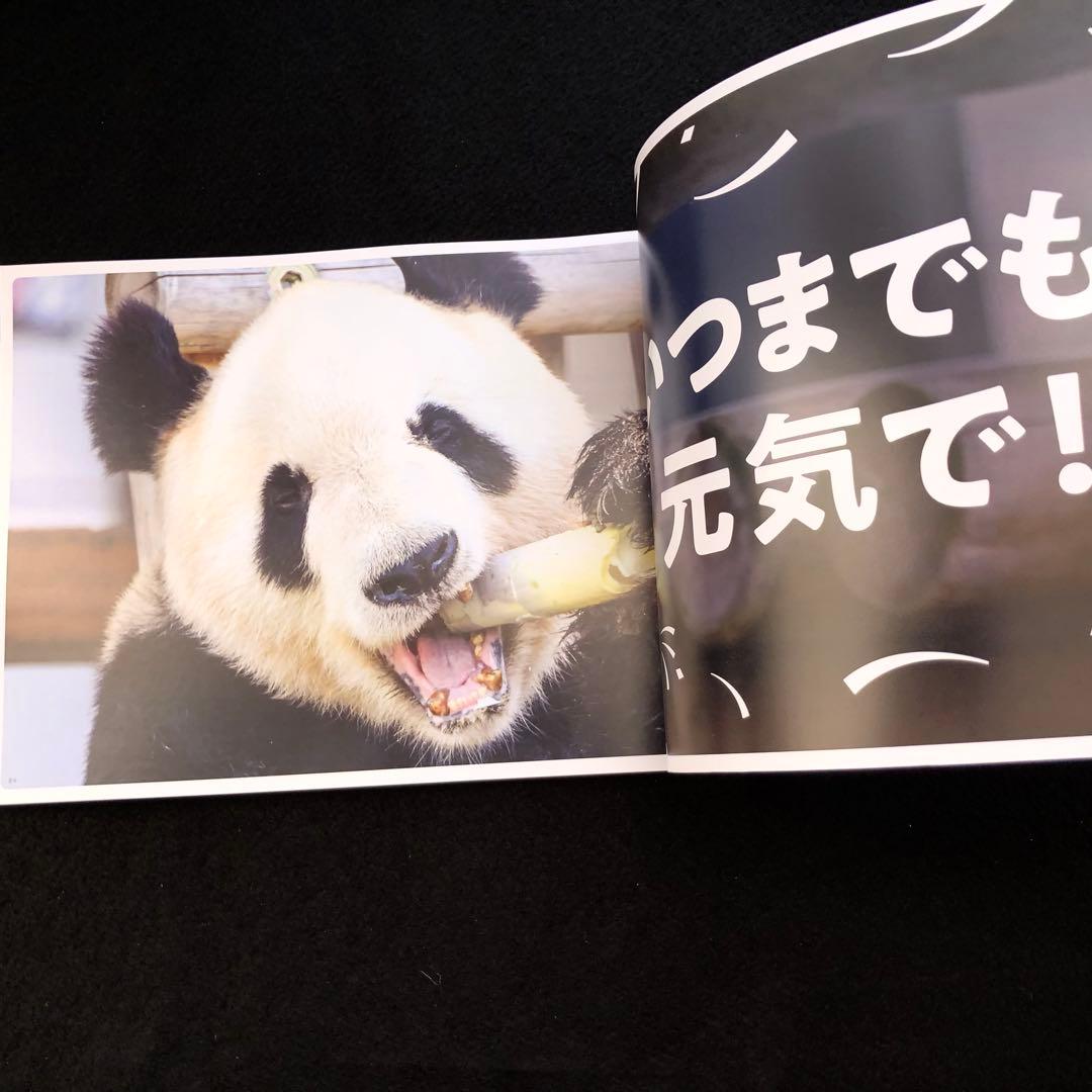 ジャイアントパンダ 永明30歳記念 写真集「永明からつながるスマイル