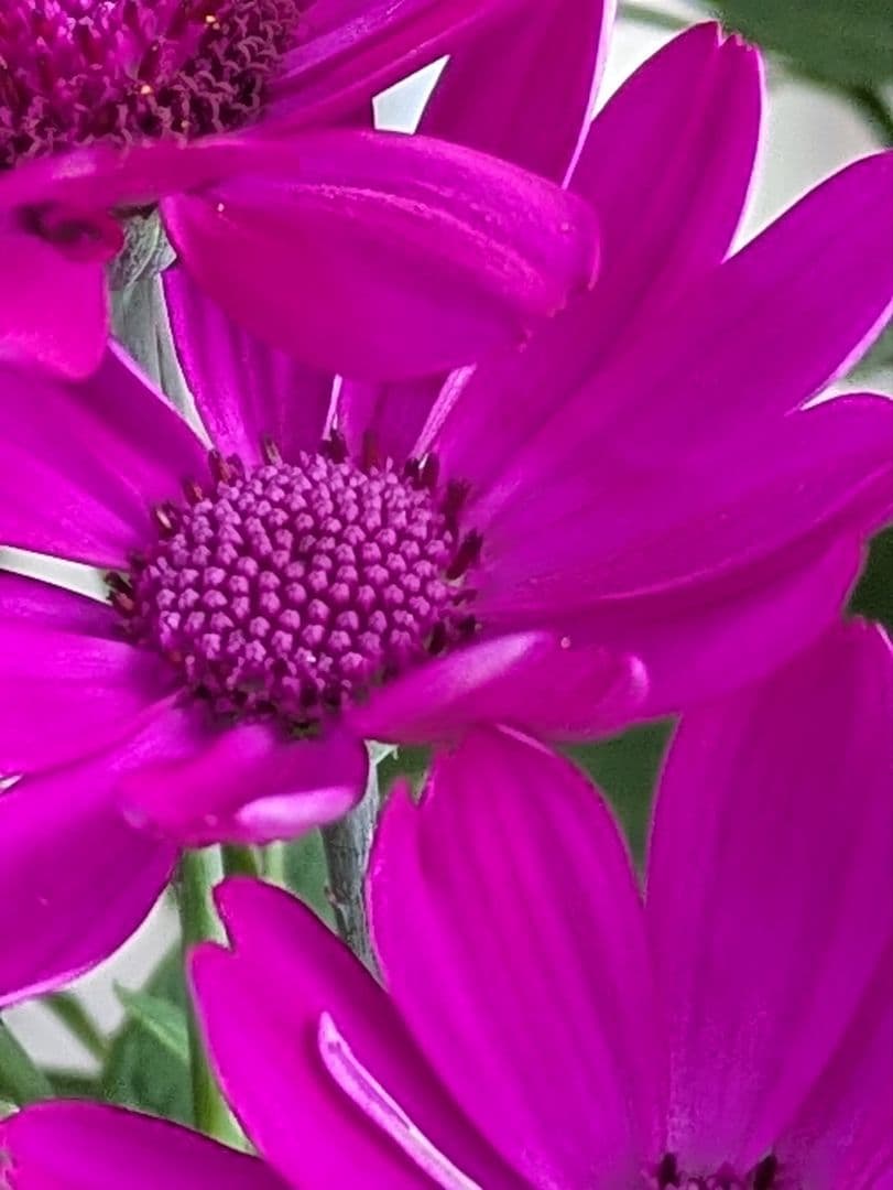 ♡みあり様♡13周年感謝価格✨✨